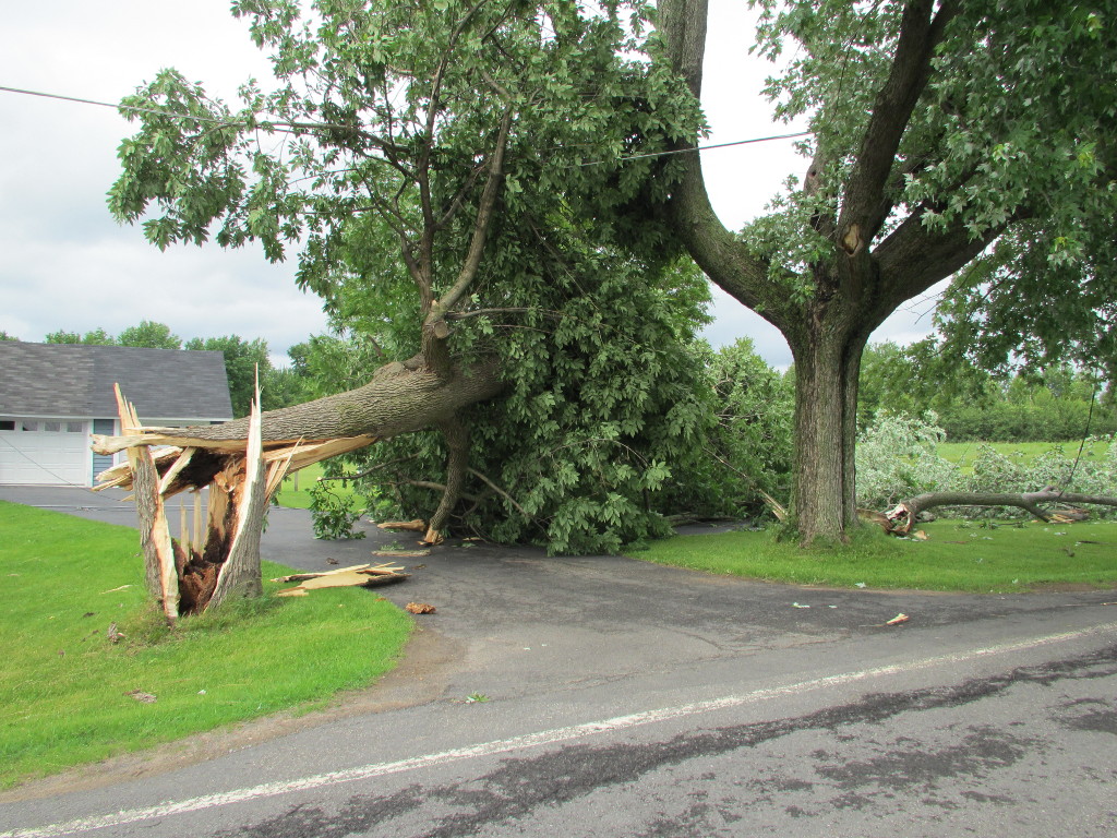 Yard Cleanup In Raleigh Done Safely & Efficiently